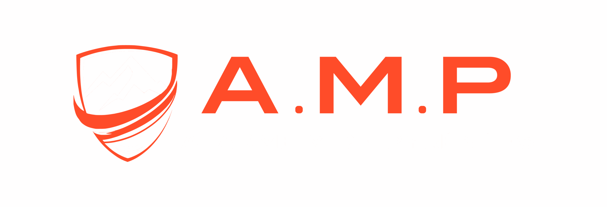 AMP09 : Alarmes, surveillance : systèmes (vente installation)